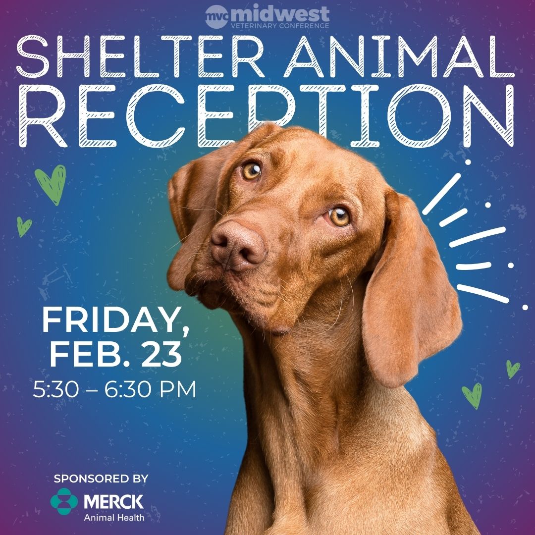 Shelter Animal Reception