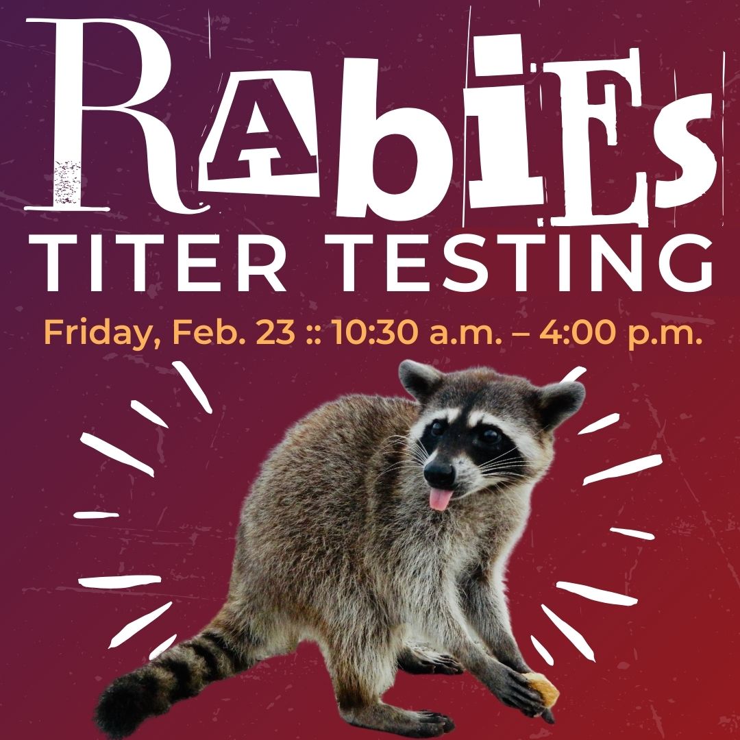 Rabies titer Testing