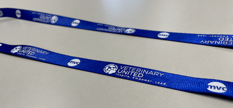 Lanyard